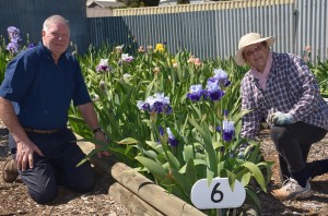 Ron & Betty Gray prepare for the big 'Open Iris' Weekend