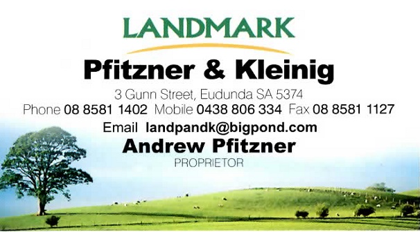 Landmark Pfitzner Kleinig - Andrew Pfitzner