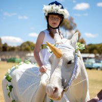 Eudunda Show ‘Horses In Action’ (HIA) Forms Available