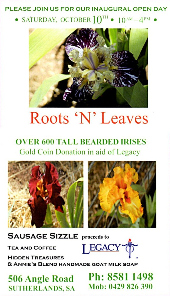 Roots N Leaves Nursery Opening Flier 10th Oct 2015