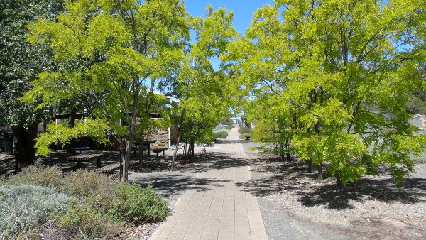 Eudunda Gardens - Beautiful colours for tree lined walk