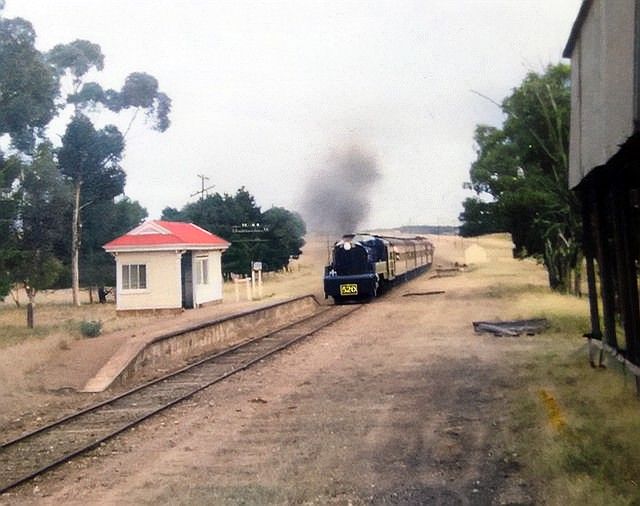 520 Steam Locomotive passing through Hansborough on way to Eudunda then Robertstown 4th May 1975