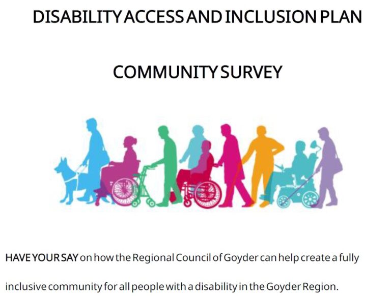 Disability Access & Inclusion Plan - Community Survey Oct 2025