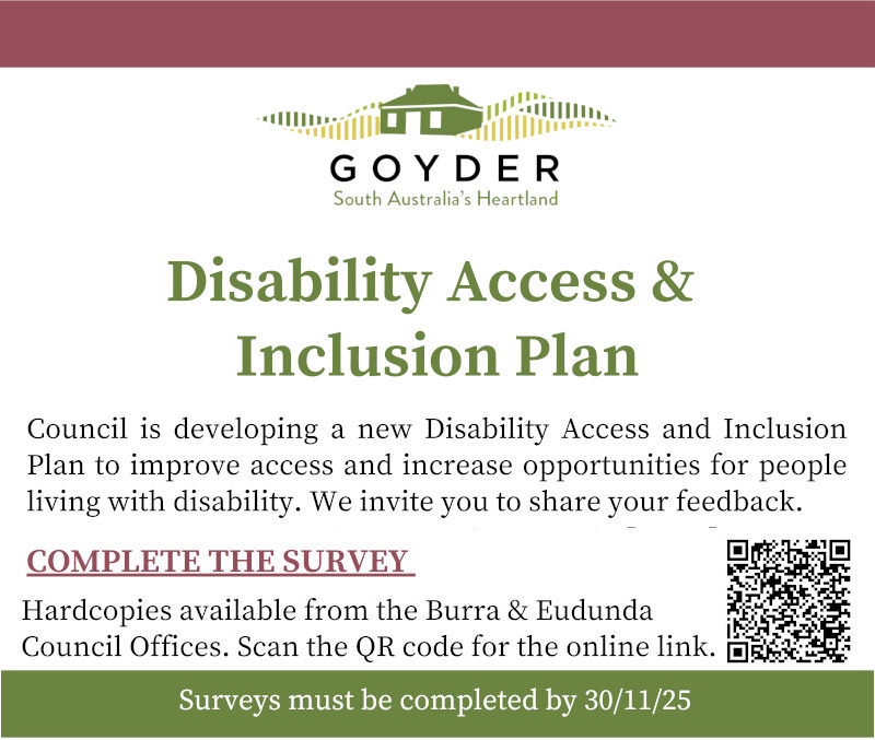 Disability Access & Inclusion Plan - Community Survey Oct 2025