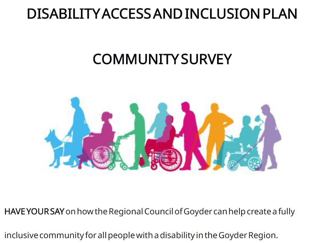 Disability Access & Inclusion Plan - Community Survey Oct 2025